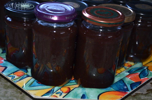 apple and soft fruit seedless jam May 15 3