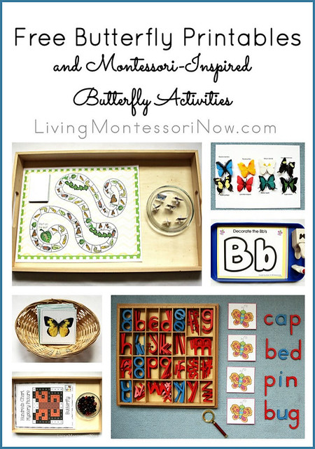 Free Butterfly Printables and Montessori-Inspired Butterfly Activities