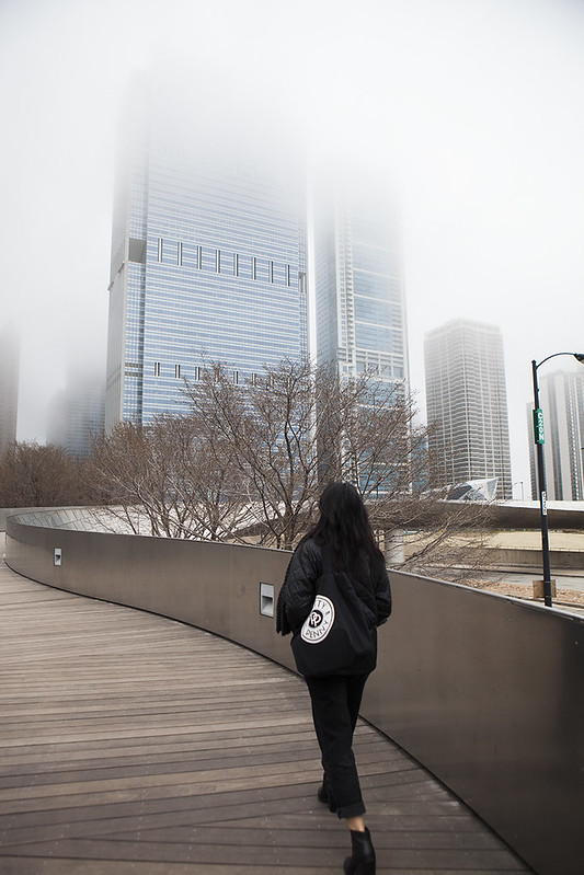 Cloudy Chicago Cloud Gate
