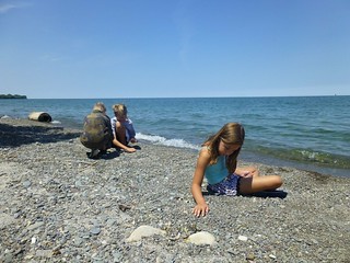Looking for beach glass