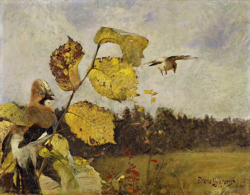 Bruno Liljefors - Jays (1887)