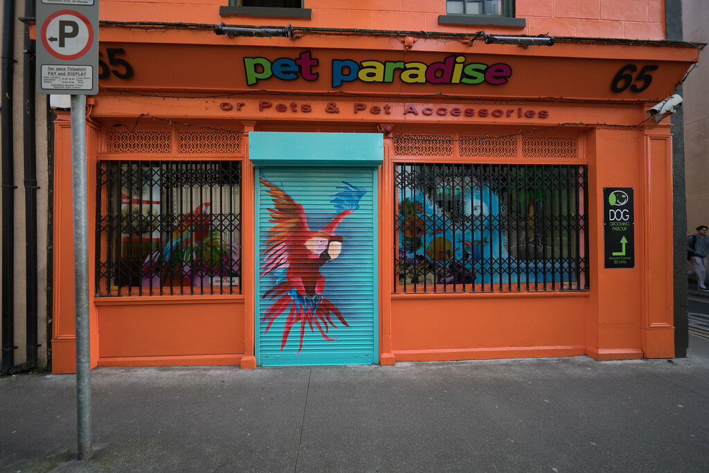 Pet Paradise [65 O'Connell St, Waterford]-120896