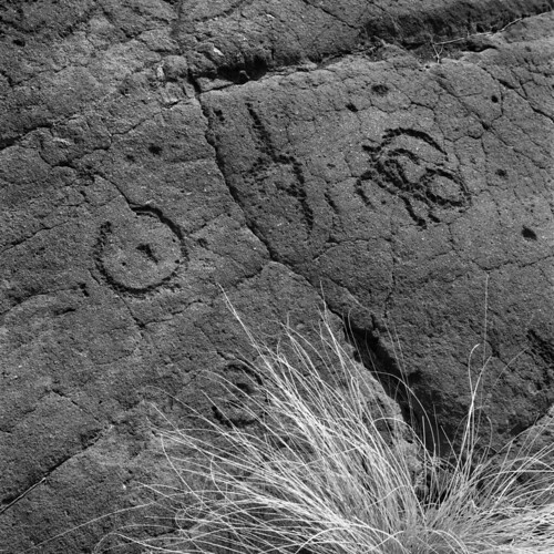 petroglyphs-1
