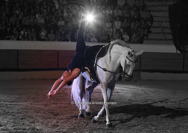 Tomar- Gala Equestre 2016
