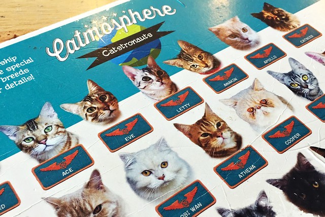 Catmosphere Cat Cafe
