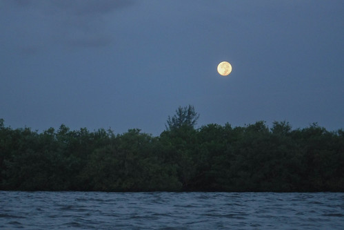 Indian River Sunrise and Moonset-44