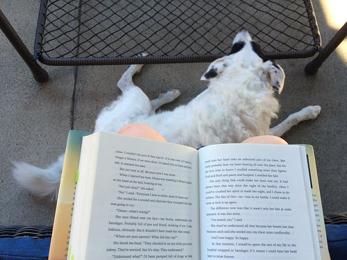 reading on porch with riley