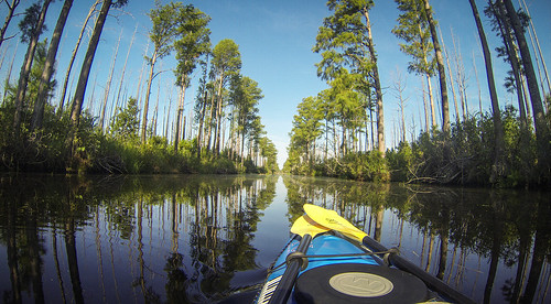 Lowcountry Unfiltered at Okefenokee-42