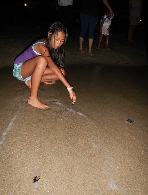 releasing baby turtles into the ocean (Mexico)