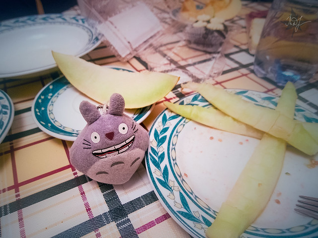 Day #237: totoro ate the melons
