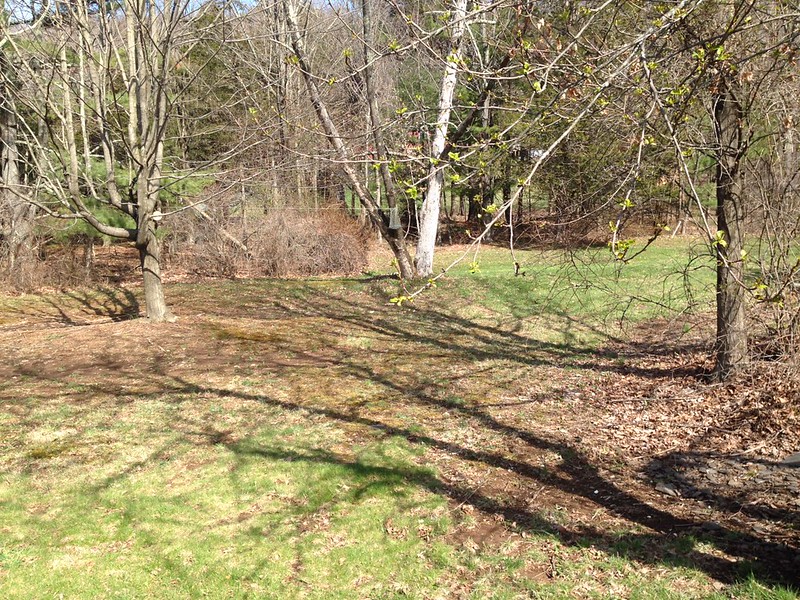 Before photo of firepit patio space