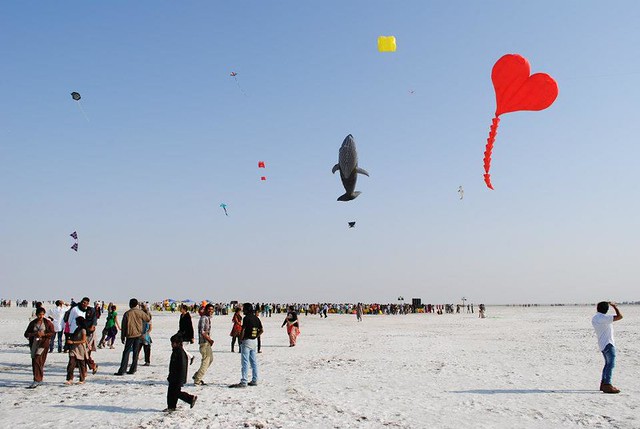 Kite Festival in Gujarat