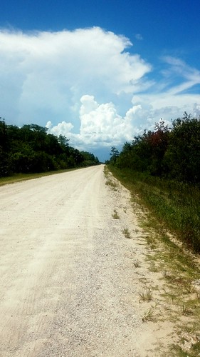 Desolate Road