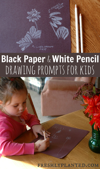 Black Paper & White Pencil