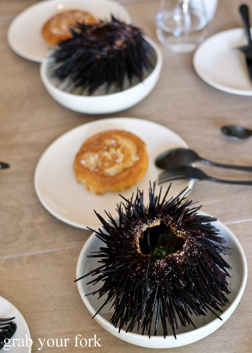 Eden sea urchin crumpet at Saint Peter by Chef Josh Niland in Paddington Sydney