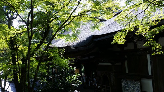 Ishiyamadera 石山寺