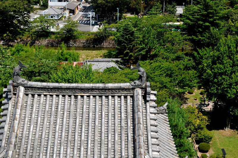 松本城の鯱
