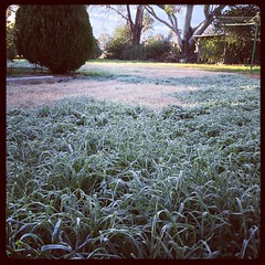 Frost!