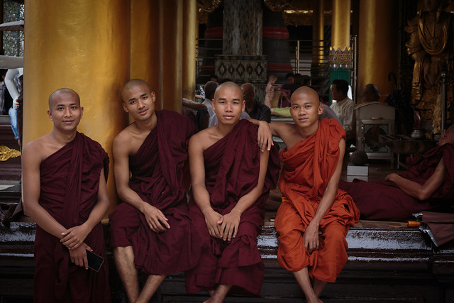 The Monks of Yangon