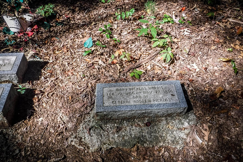 Harrisburg Plantation Cemetery-004