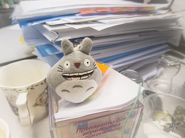 Day #266: totoro believes that a lot of work - bad