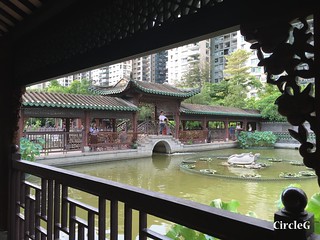 CIRCLEG 香港 遊記 美孚 嶺南之風 荔枝角公園  (37)