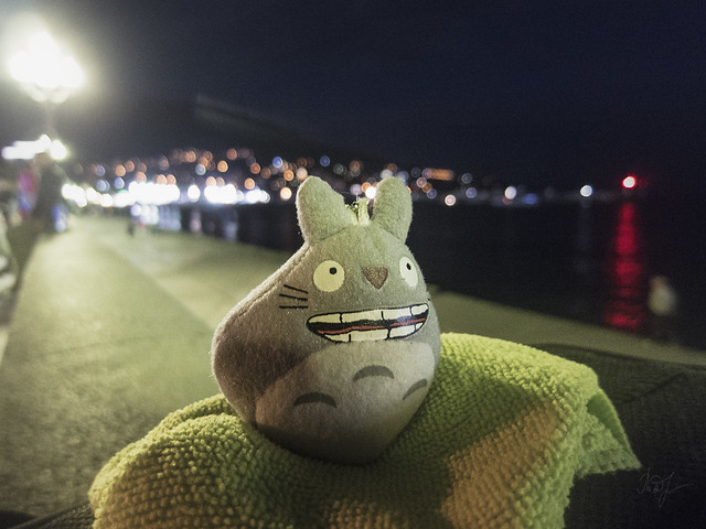 Day #267: totoro admires the night lights of Yalta