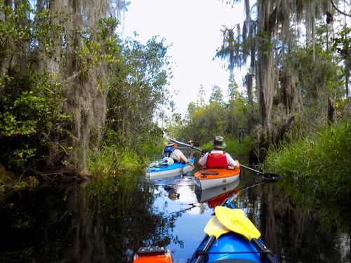 Lowcountry Unfiltered at Okefenokee-260