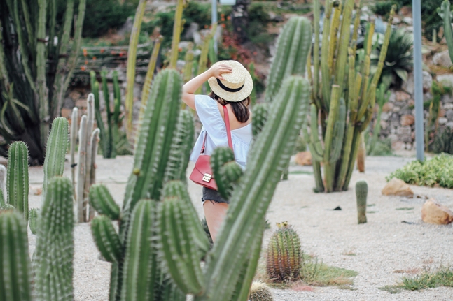 levis shorts look furla metropolis cactus barcelona montjuic mossen costa i llobera
