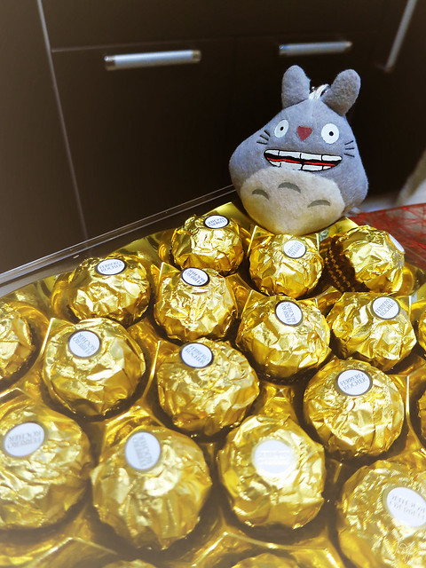 Day #199: totoro loves chocolate