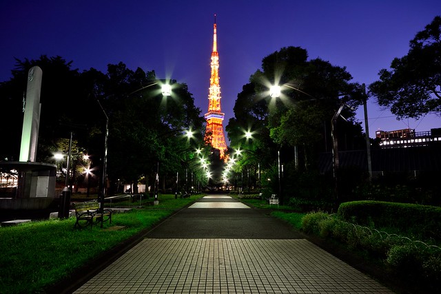 芝公園4号地で広角レンズで撮影した東京タワーの夜景