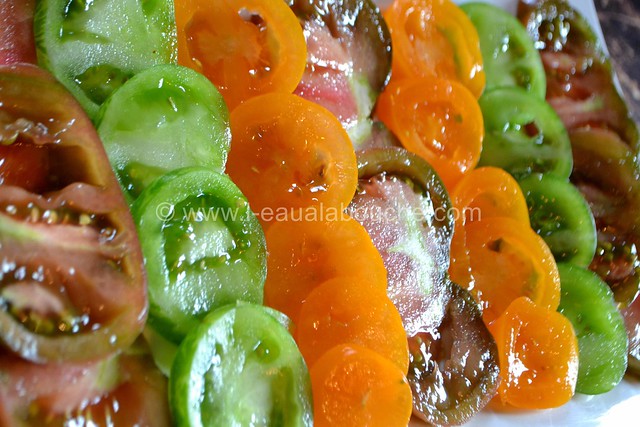 Tomates Multicolores aux Oignons Nouveaux & Graines © Ana Luthi Tous droits réservés 06