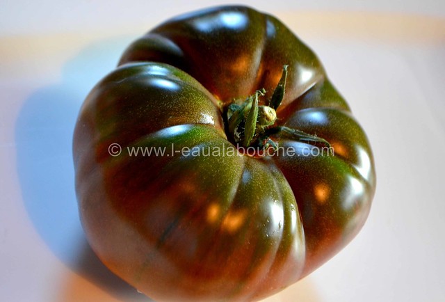 Tomates Multicolores aux Oignons Nouveaux & Graines © Ana Luthi Tous droits réservés 02