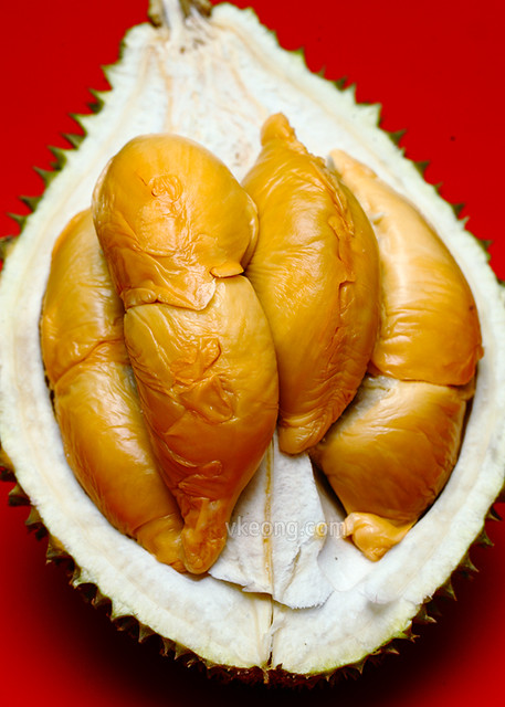 Sinnaco D13 Durian
