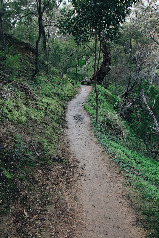 Main Yarra Trail