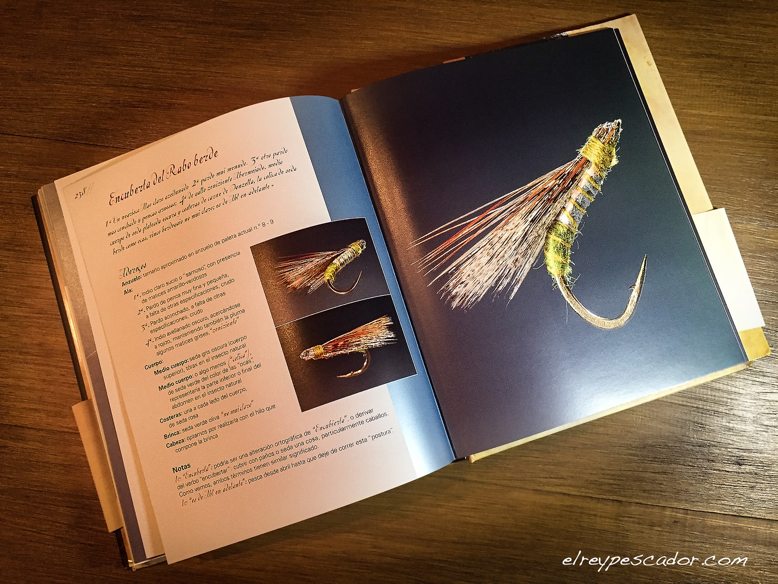 Pluma, seda y acero: Las moscas del Manuscrito de Astorga