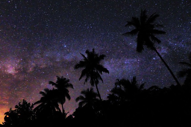 Starry Turtle Bay