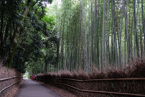 嵯峨嵐山から竹林の小径を歩く